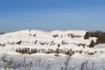 Солома 2025 года №2 (100 рулонов) (Витебская обл., Браславский р-н, аг.Друя, ул. Браславская, 62)