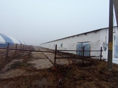 Комплекс имущества фермы в д.Александрина общей пл. 1401,1 кв.м. (Витебская обл., Миорский р-н, Повятский с/с, 88, вблизи д.Александрина)