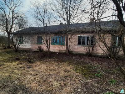 Капитальное строение, жилой дом пл. 146,7 кв.м. (Витебская обл., Браславский р-н, Друевский с/с, аг.Друйск, ул. Центральная, 27)