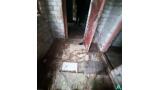 Здание одноквартирного жилого дома пл. 56,8 кв.м., инв. №543 (Витебская обл., Браславский р-н, Друевский с/с, д.Чернево, 51)