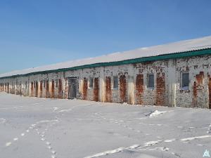 Капитальное строение, коровник пл. 1627,7 кв.м. (Витебская обл., Браславский р-н, Друевский с/с, 87, вблизи аг.Друйск)
