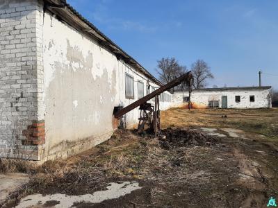 Комплекс 2 зданий фермы в аг.Друя (коровник, телятник, 3 сенажные траншеи) общей пл. 3161,9 кв.м. с прочим имуществом (Витебская обл., Браславский р-н, Друевский с/с, 81 и 82, вблизи аг.Друя)